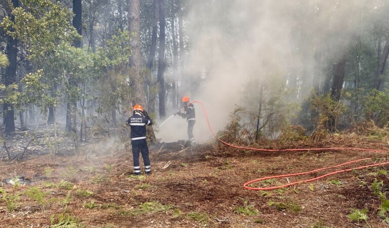Plus de 600 habitations ont été détruites dans les incendies de juillet en Nouvelle-Aquitaine.